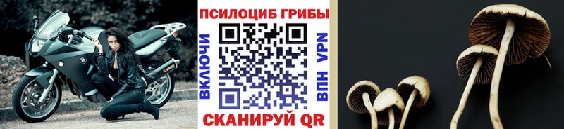 Галлюциногенные грибы мухоморы  Кубинка 