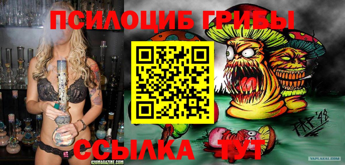 Кубинка  цены   Вход с VPN  Галлюциногенные грибы GOLDEN TEACHER 