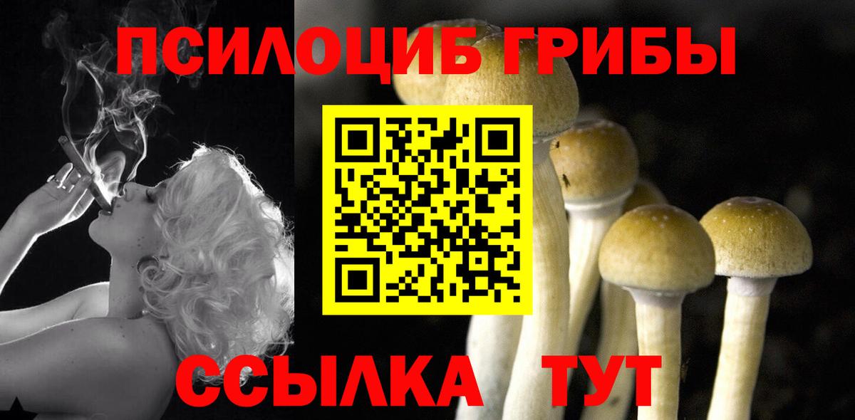 Псилоцибиновые грибы MAGIC MUSHROOMS Кубинка