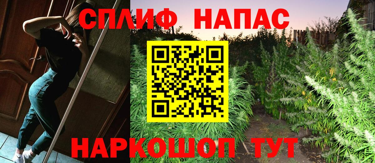 Канабис конопля Кубинка